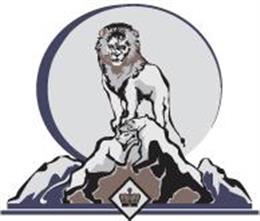 Lionstone Investment Service