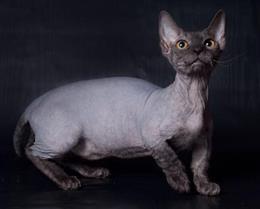 Минскин