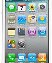 Apple iPhone 4S 16GB кожа рыбы