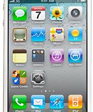 Apple iPhone 4S 16GB цирконы, кожа полированного ската